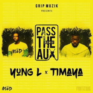 Album Pass the Aux (Remix) from Timaya