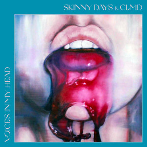 อัลบัม Voices In My Head ศิลปิน Skinny Days