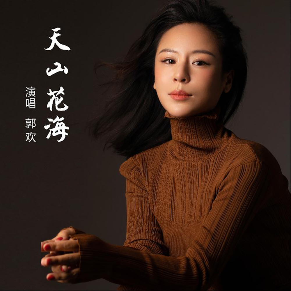 天山花海 (伴奏)