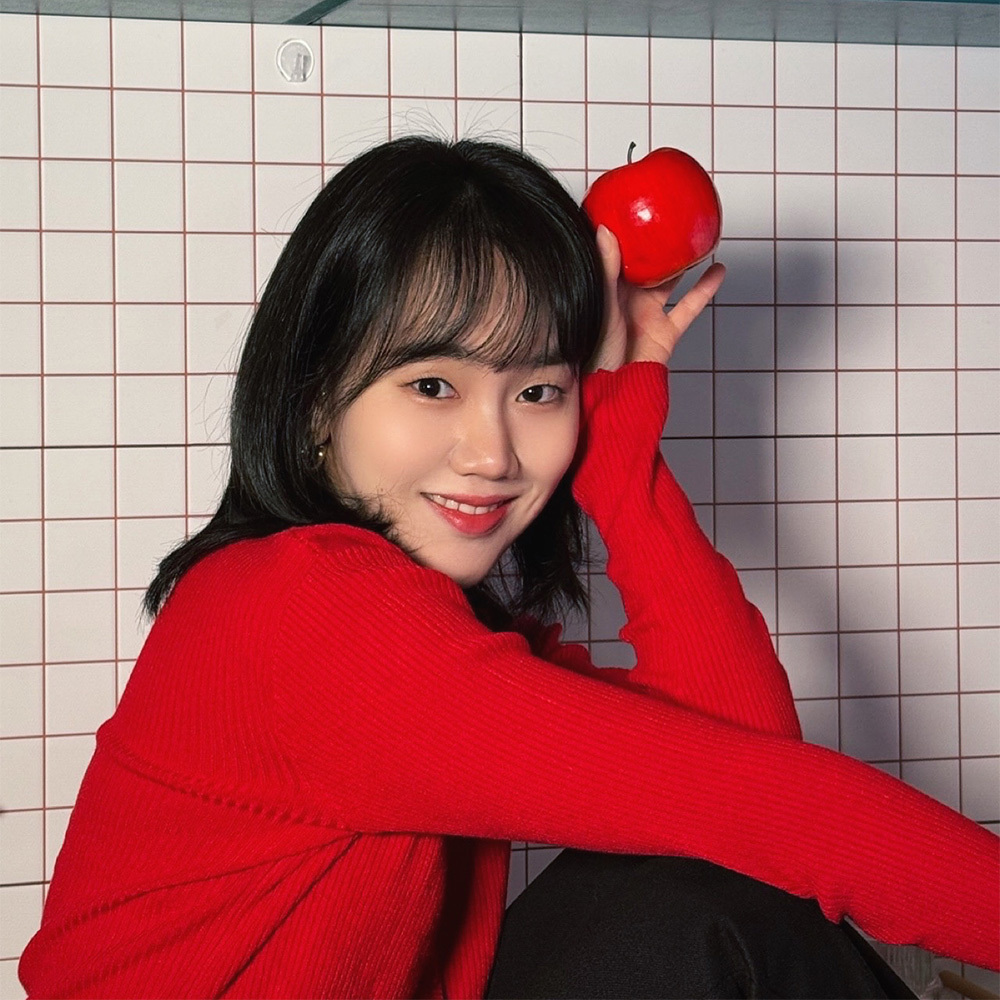 정가이