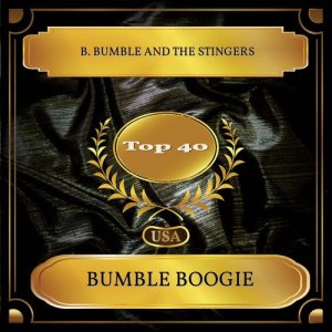 Album Bumble Boogie from The Stingers