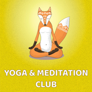 Listen to Vivid Waters song with lyrics from Yoga