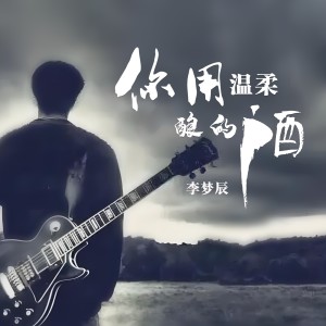 Listen to 你用温柔酿的酒 (伴奏) song with lyrics from 李梦辰