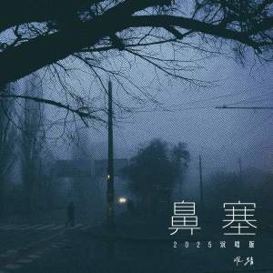 Album 鼻塞 (2025说唱版) from 