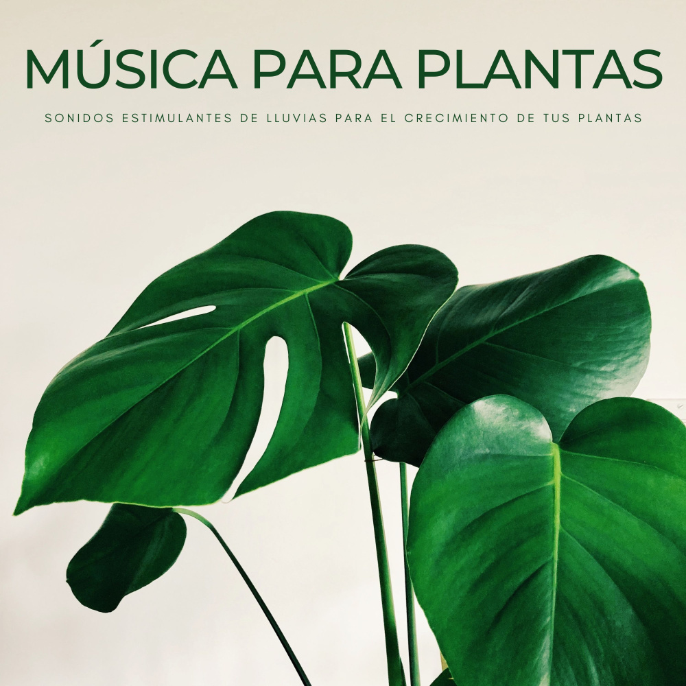 Más Verde