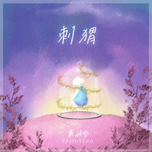 ดาวน์โหลดและฟังเพลง 刺猬 พร้อมเนื้อเพลงจาก 戴羽彤