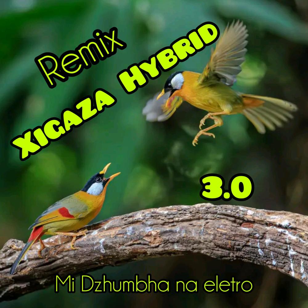 Xigaza hybrid 3.0 (the future is here)