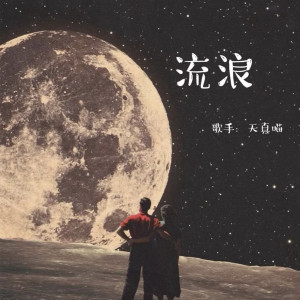 Album 流浪 from 张宁佳
