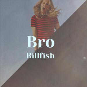 Listen to Bro Billfish song with lyrics from Asiah Toty