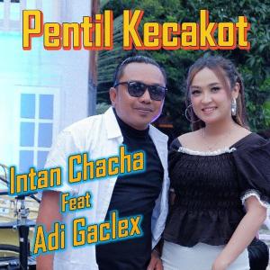 Album Pentil Kecakot oleh Adi Gaclex
