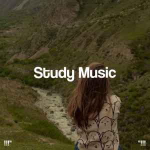 Musica Relajante的專輯"!!! Study Music !!!"