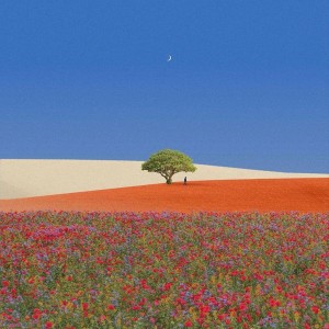 Listen to Mother Nature song with lyrics from Aisake