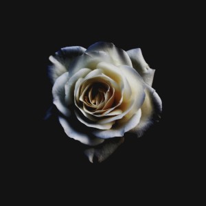 收聽Wit Blu的Love's Not Enough (Explicit)歌詞歌曲