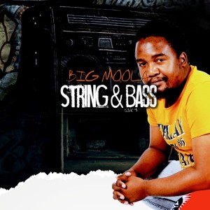 Big Moola的專輯Sting & Bass
