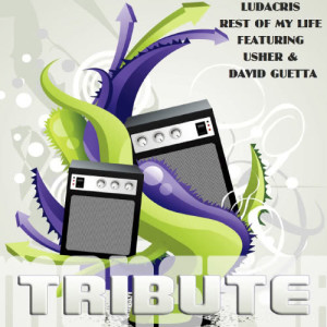 อัลบัม Rest of My Life (Deluxe Tribute to Ludacris Feat. Usher & David Guetta) ศิลปิน Monster Music