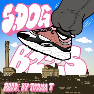 Album B22s (Explicit) from S Dog