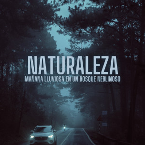Album Naturaleza: Mañana Lluviosa En Un Bosque Neblinoso oleh Musica Lluvia Tranquila