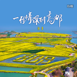 Album 一往情深到高邮 (DJ版) oleh 汤非