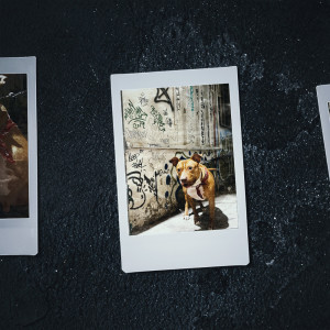 Dengarkan 耍狗CYPHER (feat. Small Ay 小眼 & 御姊绅士) (Explicit) lagu dari HomeRich dengan lirik