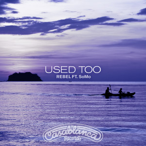 ดาวน์โหลดและฟังเพลง Used Too พร้อมเนื้อเพลงจาก Rebel