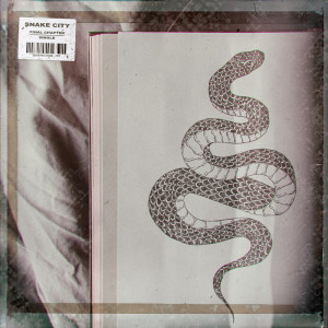 Listen to Final Chapter (Instrumental Version) song with lyrics from Snake City