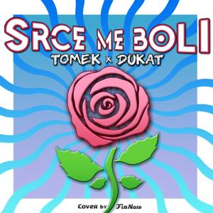收聽Tomek的SRCE ME BOLI (feat. Dukat) (Explicit)歌詞歌曲