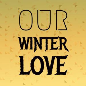 ดาวน์โหลดและฟังเพลง Our Winter Love พร้อมเนื้อเพลงจาก Bill Purcell