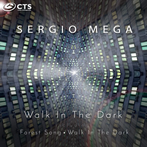 收听Sergio Mega的Forest Song歌词歌曲