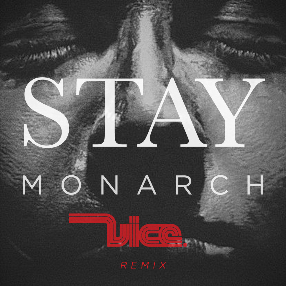 Stay (Vice Remix)