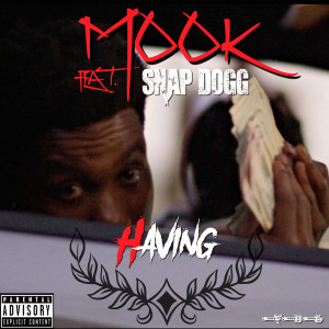 收听Mook的Having (feat. Snap Dogg) (Explicit)歌词歌曲