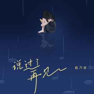 Listen to 说过了再见 song with lyrics from 赵乃吉