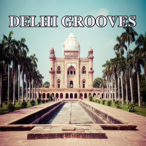 Various Artists的專輯Delhi Grooves