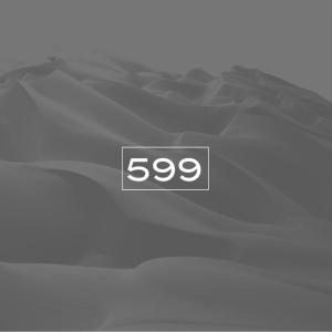Album 599 (Original Mix) from Convex