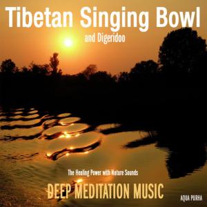 ดาวน์โหลดและฟังเพลง Tibetan Singing Bowl Meditation พร้อมเนื้อเพลงจาก Deep Meditation Music