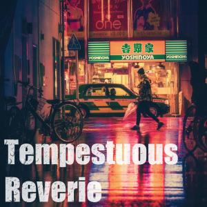 Listen to Tempestuous Reverie song with lyrics from Levirne