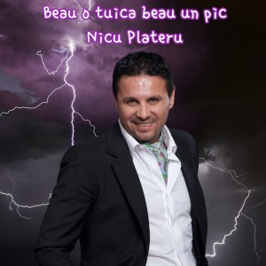 Listen to Beau o tuica beau un pic song with lyrics from Nicu Paleru