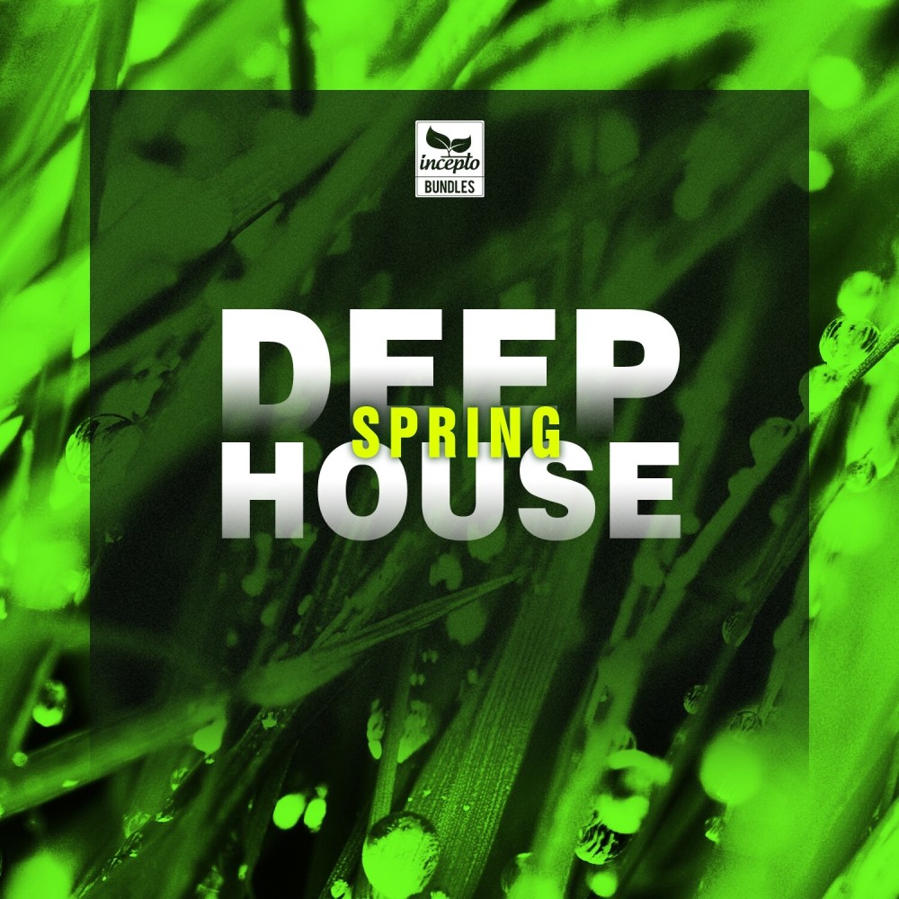Dissimulation (Christian Lamper Remix)