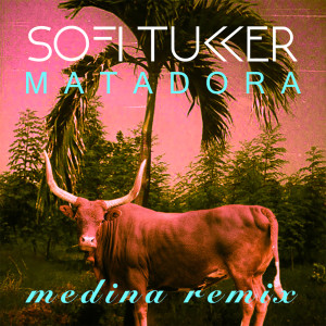 ดาวน์โหลดและฟังเพลง Matadora (Medina Remix) พร้อมเนื้อเพลงจาก Sofi Tukker