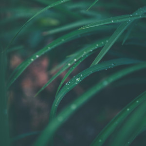 Listen to Mild song with lyrics from Deep Sleep