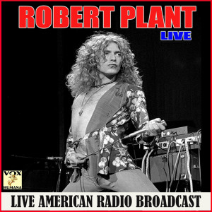Listen to Big Log (Live) song with lyrics from Robert Plant