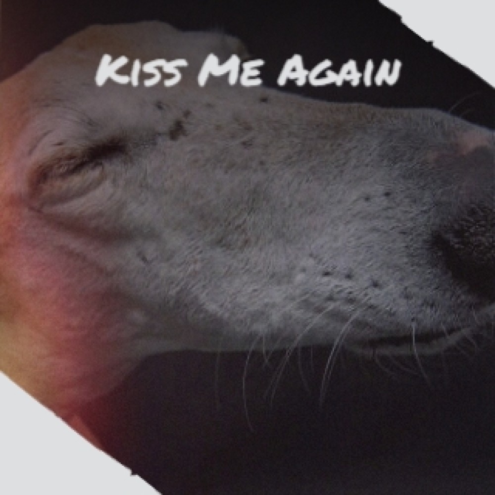 Crazy Horse (Original Soundtrack from 'The Girl Most Likely')