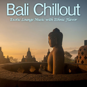 ดาวน์โหลดและฟังเพลง Hide in My Shadow (Gamelan Buddha Relax Mix) พร้อมเนื้อเพลงจาก Bali del Mar