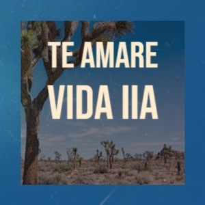 Album Te Amare Vida Iia from Various
