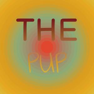 Album The Pup oleh Various