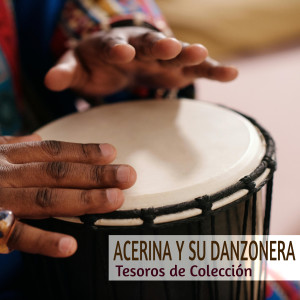 收聽Acerina Y Su Danzonera的Qué Tal Doctor?歌詞歌曲