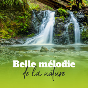 收聽Ensemble de Musique Zen Relaxante的Visualisation歌詞歌曲