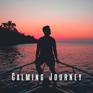 Relaxed Minds的專輯Calming Journey: Relaxation Music for Restoring Balance