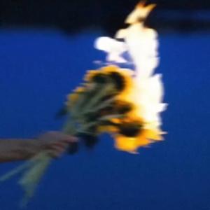 Skziy的專輯No Hard Feelings (Explicit)