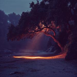 default playlist img