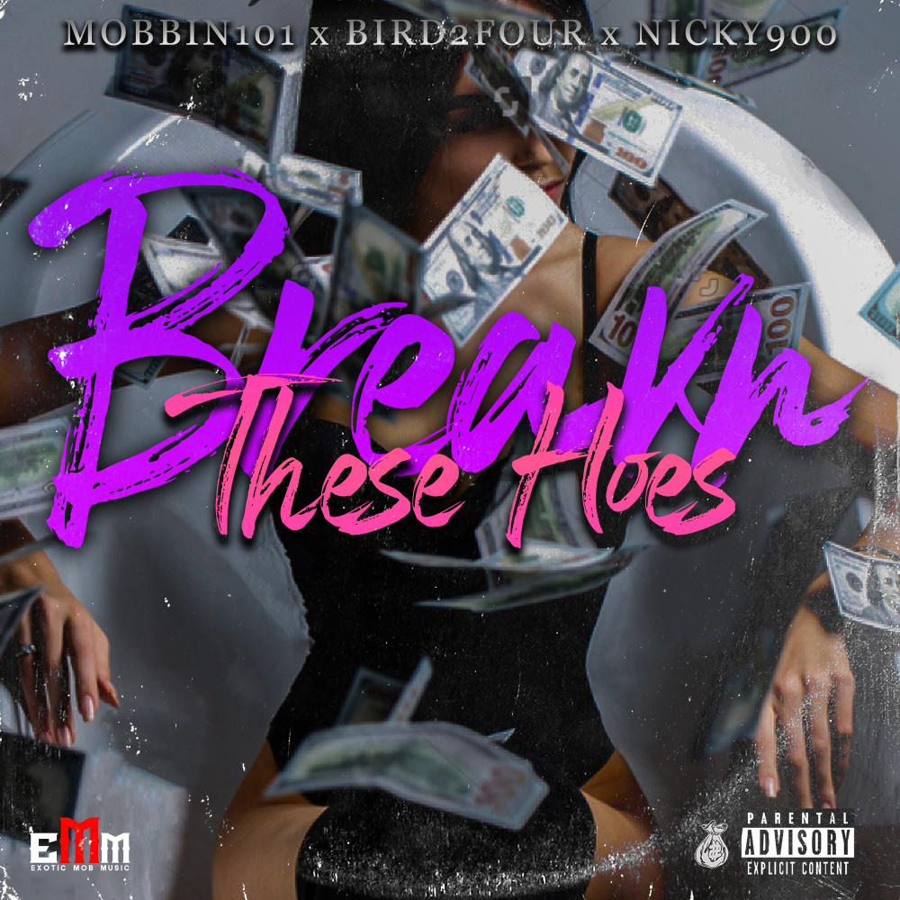 Breakn These Hoes (Explicit)
